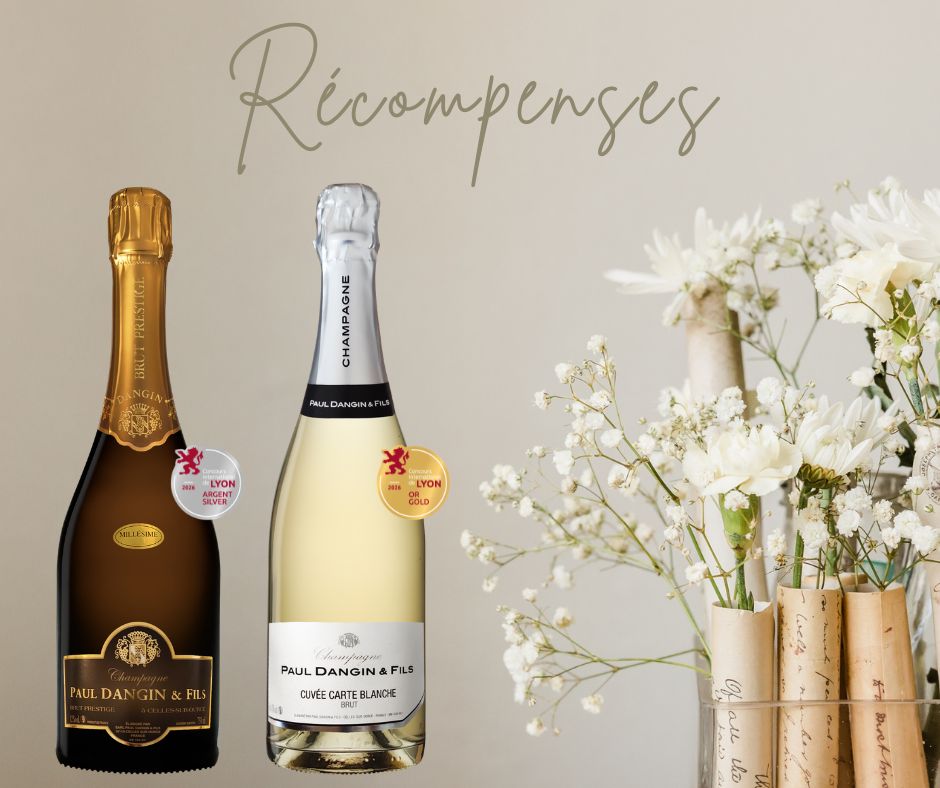 ✨ Récompenses ✨