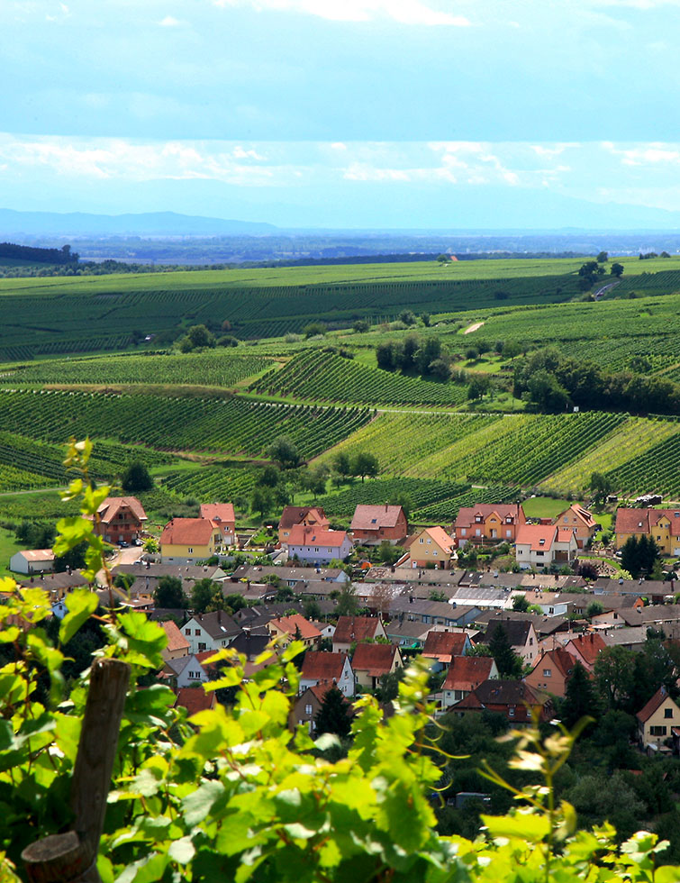 La route touristique du Champagne