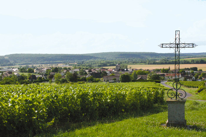 La route touristique du Champagne